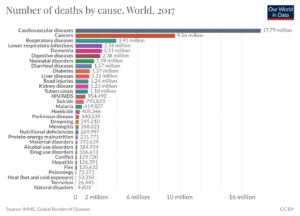Todesursachen Weltweit 2017